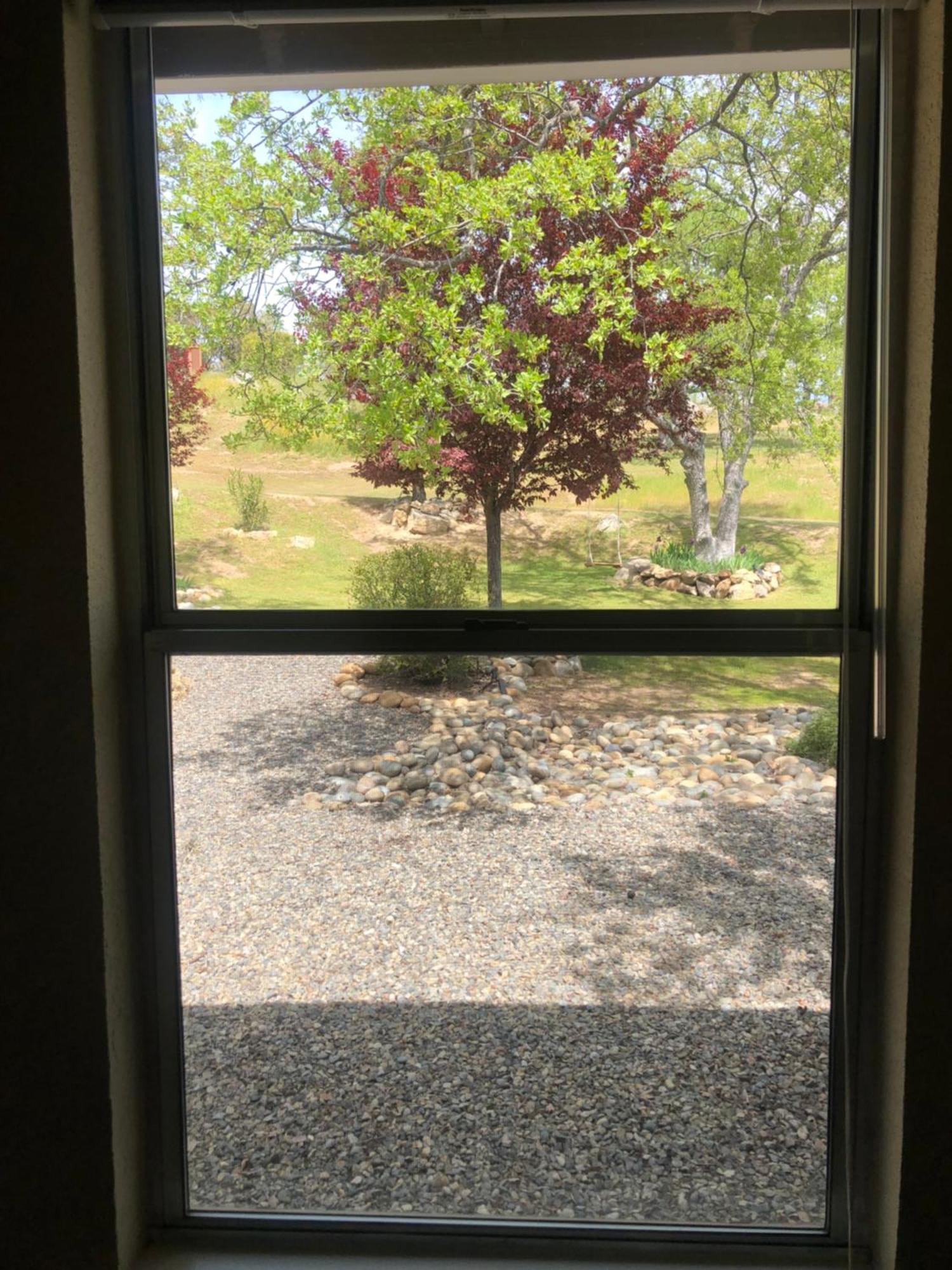 Oak Retreat By Yosemite National Park Apartment Coarsegold Bagian luar foto