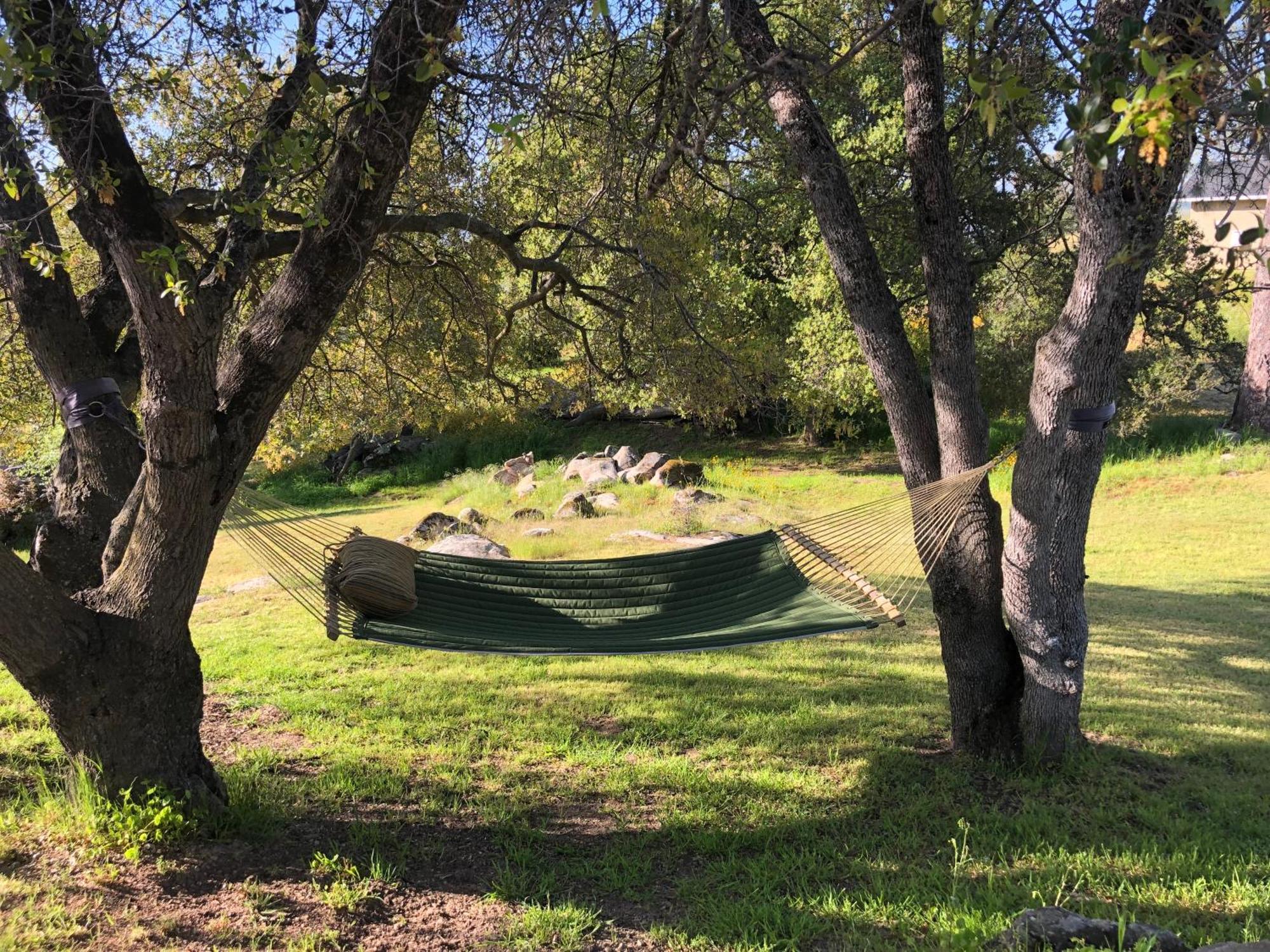 Oak Retreat By Yosemite National Park Apartment Coarsegold Bagian luar foto